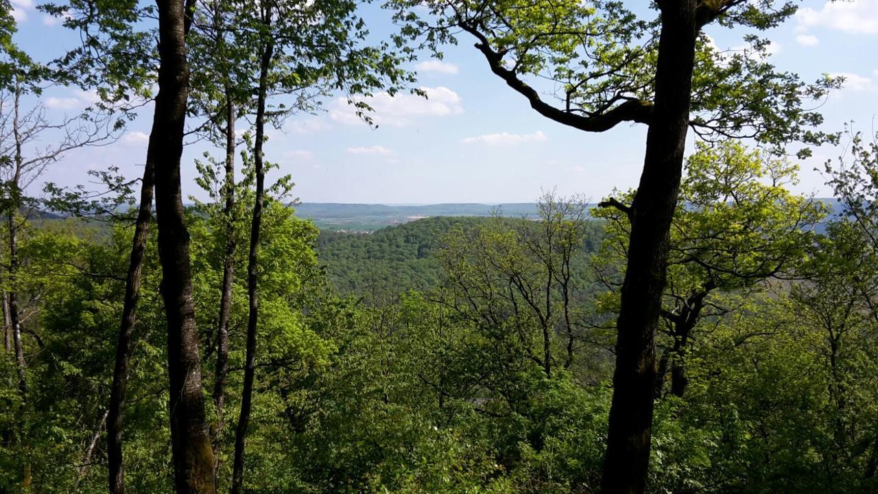 Am Schwanberg 3* Rödelsee